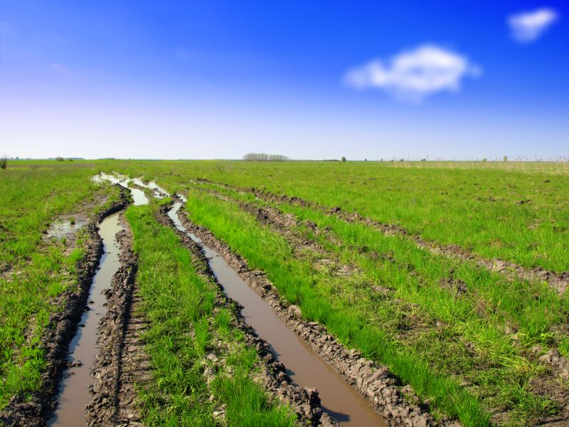 Professional Consultation