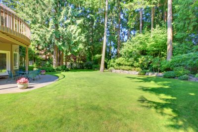 Create a Great Back Yard After Leveling